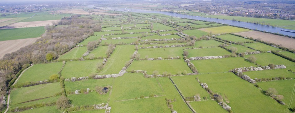 Aanzicht Brabants Maasheggenlandschap vanuit de lucht.