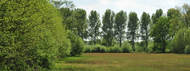 Natuurreservaat het Aaltense Goor