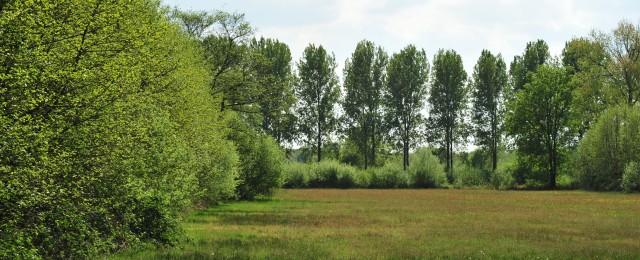 Natuurreservaat het Aaltense Goor