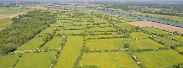 Het historische cultuurlandschap de Maasheggen in vogelvlucht