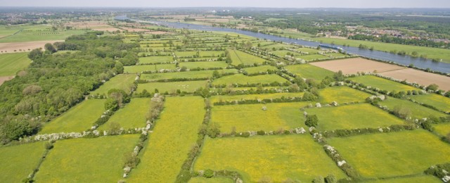 Het historische cultuurlandschap de Maasheggen in vogelvlucht