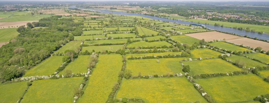 Het historische cultuurlandschap de Maasheggen in vogelvlucht