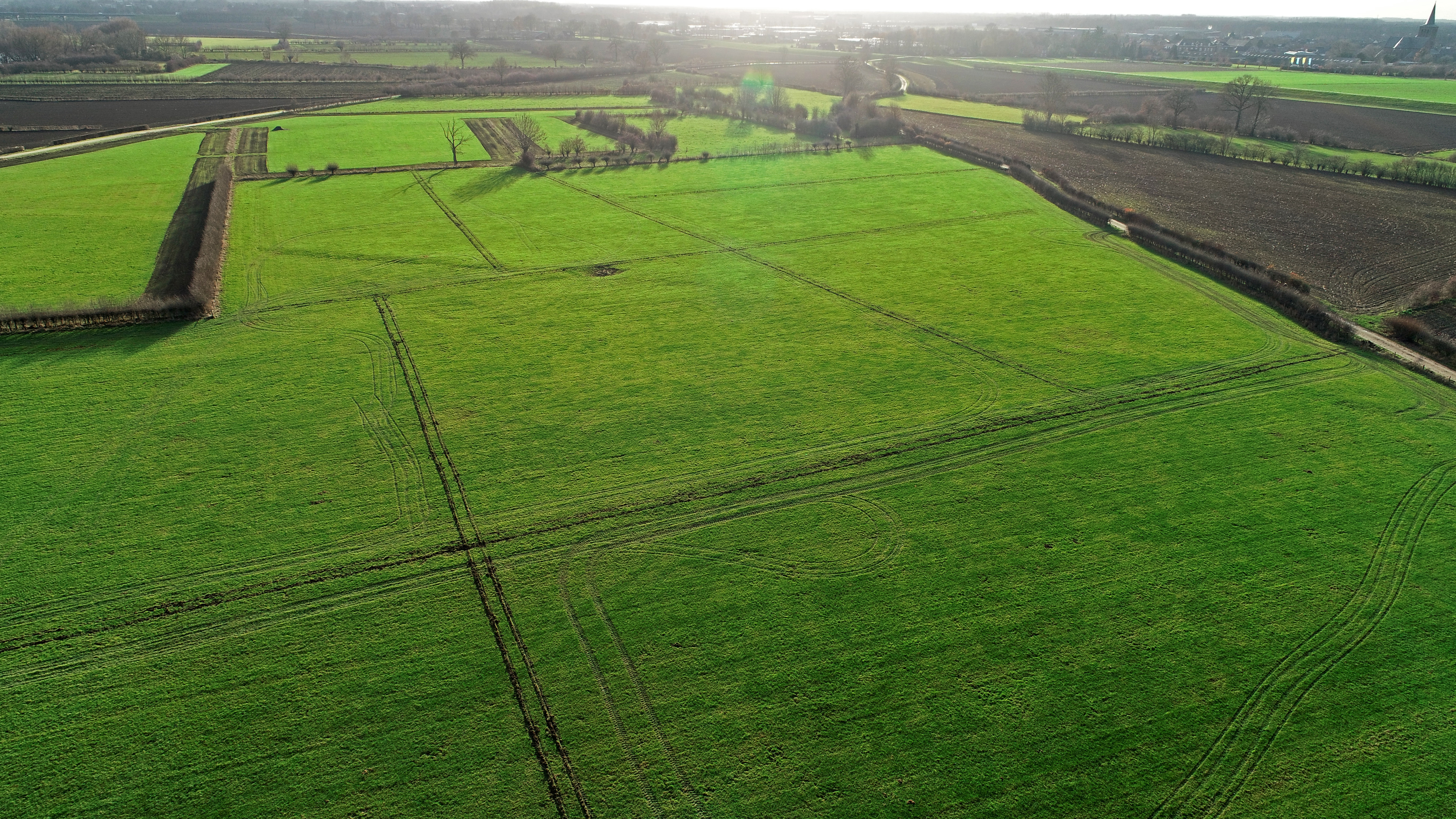 Uitzicht over de nieuw aangeplanten heggen op het perceel